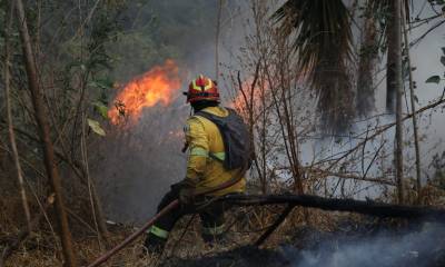 El fuego se desató en el cañón del río Chiche, una zona escarpada y de difícil acceso que complica a los bomberos el control de las llamas / Foto: cortesía Bomberos