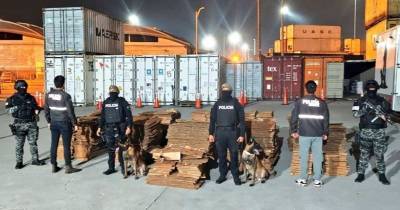 La acción policial se llevó a cabo en uno de los puertos marítimos de la ciudad de Guayaquil / Foto: cortesía Policía Nacional