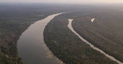 Los 400.000 dólares que acompañan al premio se destinarán a proyectos concretos en la Amazonía / Foto: EFE