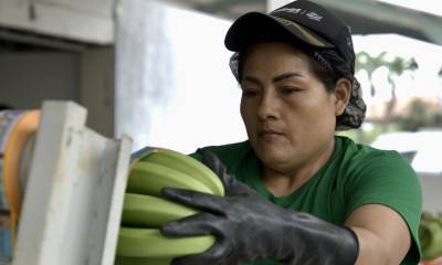 Ecuador busca concretar un acuerdo comercial con Estados Unidos lo más pronto posible / Foto: EFE