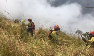 Inés Manzano, confirmó la declaratoria de emergencia nacional por crisis climática / Foto: cortesía Cuerpo de Bomberos de Cuenca