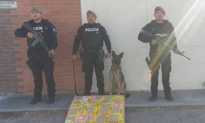 Según la Policía, el alijo podría tener un valor de 680.080 dólares en Europa / Foto: cortesía Policía Nacional