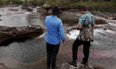 461 defensores de la naturaleza han sido asesinados en Colombia / Foto: EFE