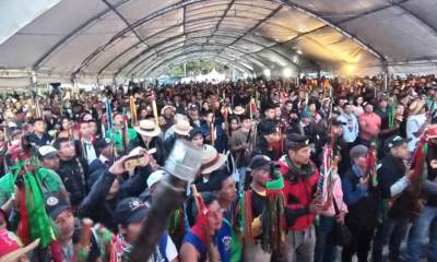 La semana pasada varios autobuses llegaron a Bogotá desde el departamento del Cauca / Foto: cortesía 