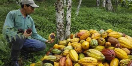 Ecuador se posiciona como un referente en recursos naturales