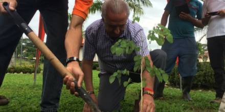 Siembran 900 plantas en la Amazonía ecuatoriana en el Día Nacional del Árbol