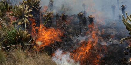 Loja: Un incendio forestal consume 1.174 hectáreas en 5 días