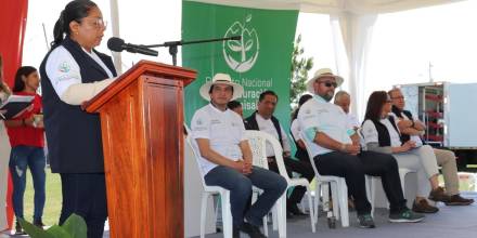 1.088 hectáreas de bosques degradados serán restauradas en Manabí