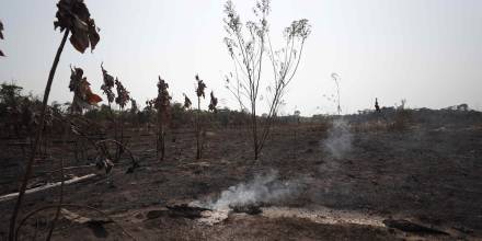 Unicef: Una sequía sin precedentes afecta a más de 420.000 niños en la Amazonía