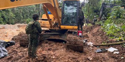 Países se unen para combatir delitos ambientales en la Amazonía