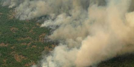 La Amazonía está en riesgo de colapso climático para 2050