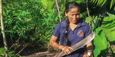 Las 'chacras' de la Amazonía nutren, curan y enseñan