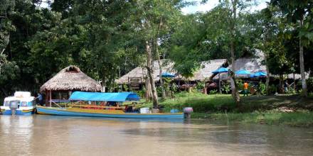 Amacayacu, refugio de la biodiversidad en Colombia 