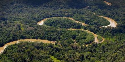 Ecuador es el país amazónico más deforestado