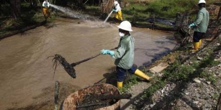 Áreas remediadas en la Amazonía alcanzan el millón de metros cúbico