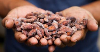 El cacao fue el tercer producto no petrolero de exportación en 2024 