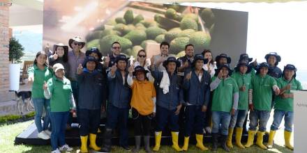 El aguacate ecuatoriano llegará por primera vez a Estados Unidos