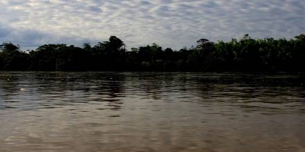 La Amazonía ecuatoriana ha perdido 39 millones de toneladas de carbono forestal 