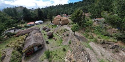 Proyecto ecuatoriano ganó premio en Bienal de Nueva York