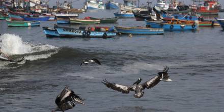 Perú oficializa creación de gran reserva marítima en frontera con Ecuador