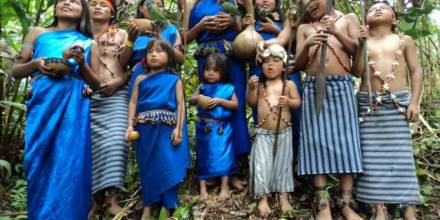 Leyenda: Dos doncellas se transformaron en plantas en la Amazonía