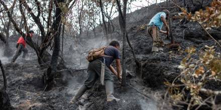 Perú controla incendios en la Amazonía y otras 5 regiones