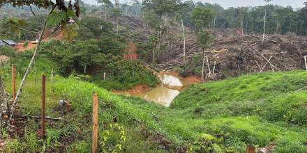 El Ejército propició golpes a la minería ilegal en la Amazonía 