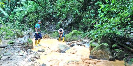 Mediante imágenes satélites se constató lo que produce el cambio de color en el río Bombuscaro