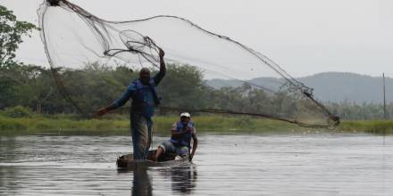 Perú entregó millones de crías de peces en la Amazonía