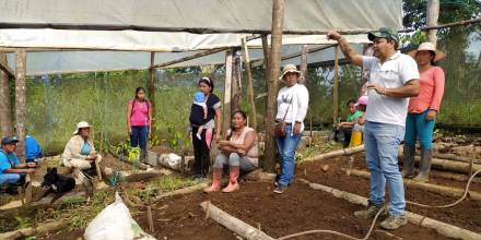 Más de 200 familias de Napo recibieron semillas de hortalizas