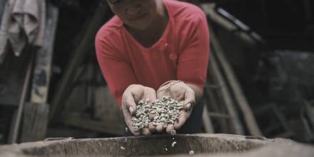 La UTPL creó una serie documental sobre el café de Loja