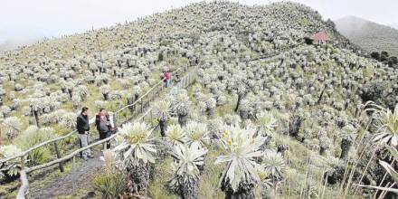 Ecuador y Colombia proponen reserva de biósfera binacional