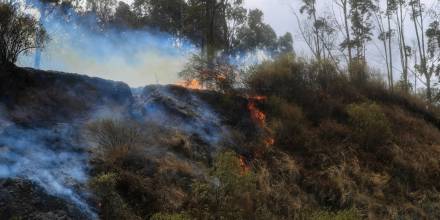 El Gobierno gestiona cooperación internacional para atender incendios