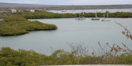 La Armada de Ecuador rescata a 9 turistas de embarcación que se varó en las Galápagos