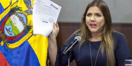 Vicuña fue vicepresidenta por 332 días