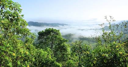 Ecuador busca otro canje de deuda por naturaleza 