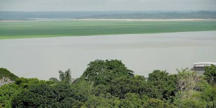 Francia finanza proyecto para proteger millones de hectáreas en la Amazonía