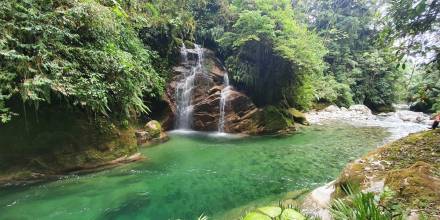 La cascada Suyu Pakcha, un tesoro natural en Tena