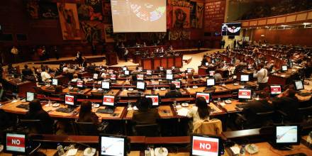 La Asamblea aprobó la ley sobre uso legítimo de la fuerza