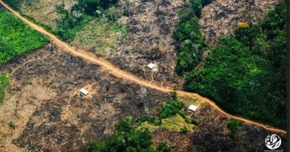 Colombia: Observatorio para combatir delitos ambientales en la Amazonía será creado 