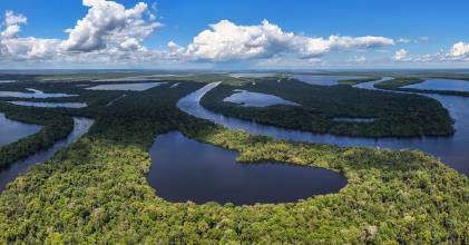 La Cruz Roja lanzó programa para combatir la crisis climática en la Amazonía