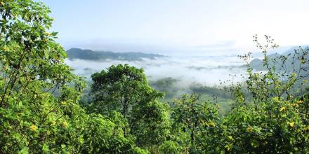 El 78 % de las áreas de explotación de petróleo en la Amazonía aún no inician producción