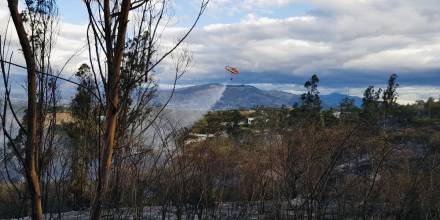 16.000 hectáreas han ardido en Ecuador en las últimas 2 semanas 