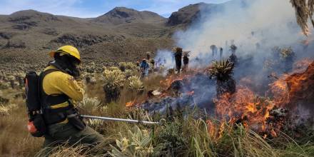 Más de 170 bomberos combaten incendio forestal en El Ángel