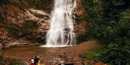 Celebran al Parque Nacional Podocarpus