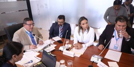 La consulta prelegislativa sobre reformas a la Ley de Minería es analizada