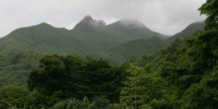 Ecuador tiene potencial de recibir $ 1.000 millones al año en mercados de carbono