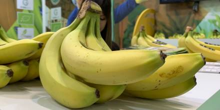 Ecuador fija precio mínimo de caja de banano en $ 7,25 para 2025