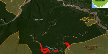 Minería ilegal provoca deforestación en el río Punino