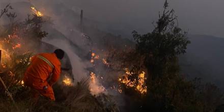 El humo de los incendios forestales en la Amazonía afecta a 4 provincias